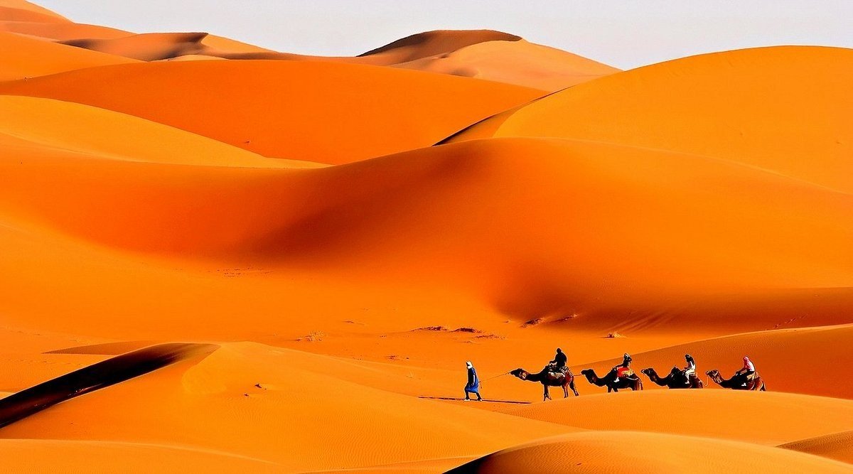 morocco-camel-trekking-1692377491.jpg
